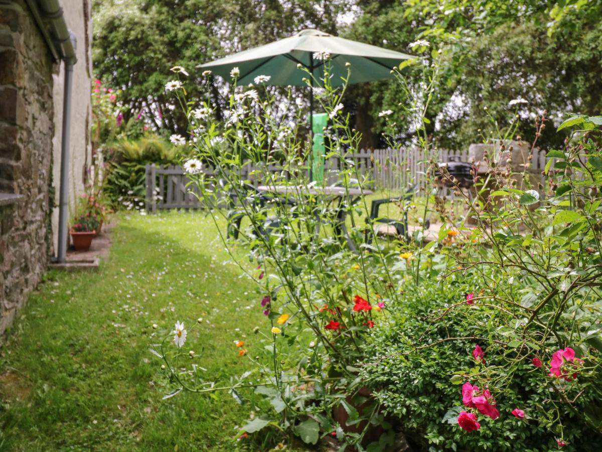 Badger Cottage Mawgan Buitenkant foto