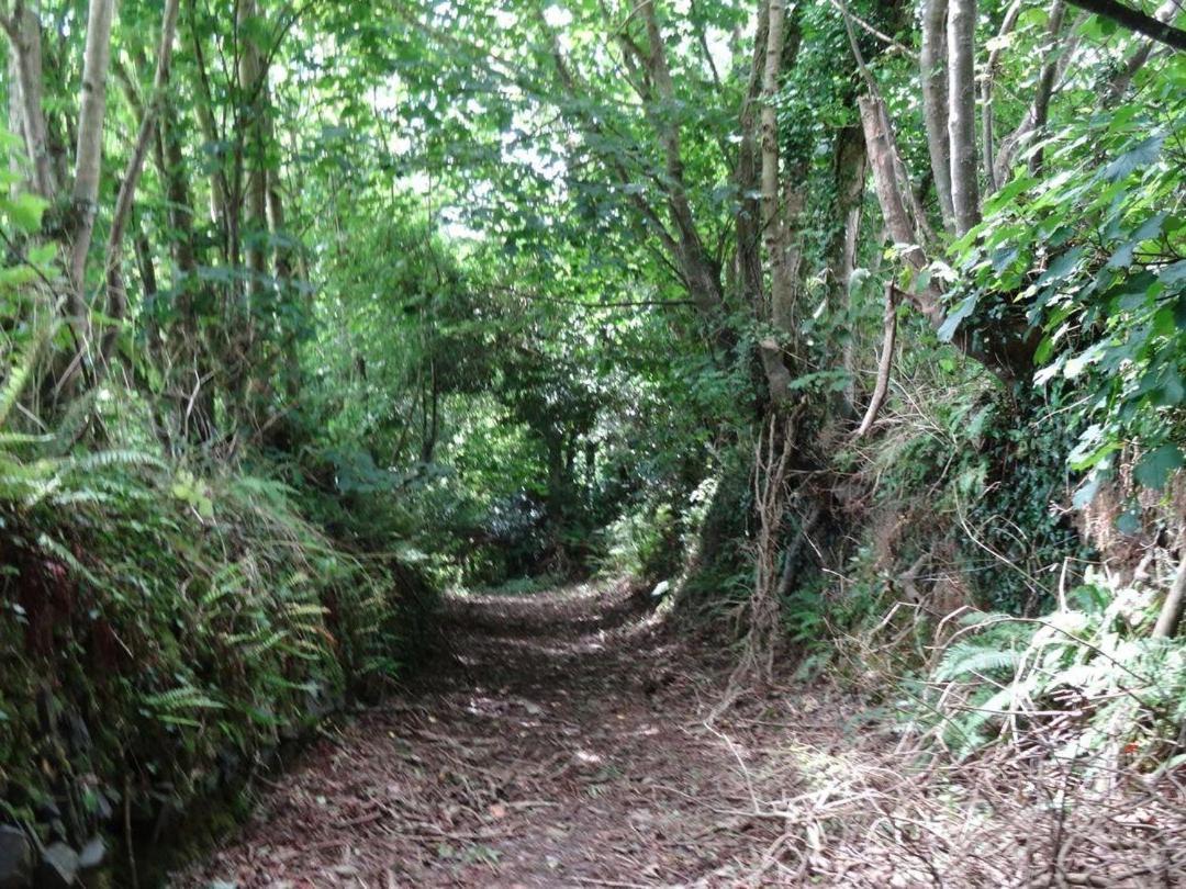 Badger Cottage Mawgan Buitenkant foto
